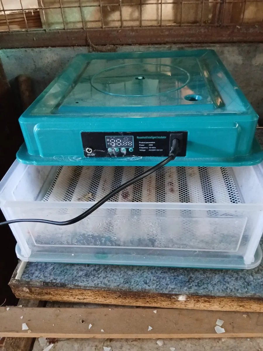 Incubator - Image 2