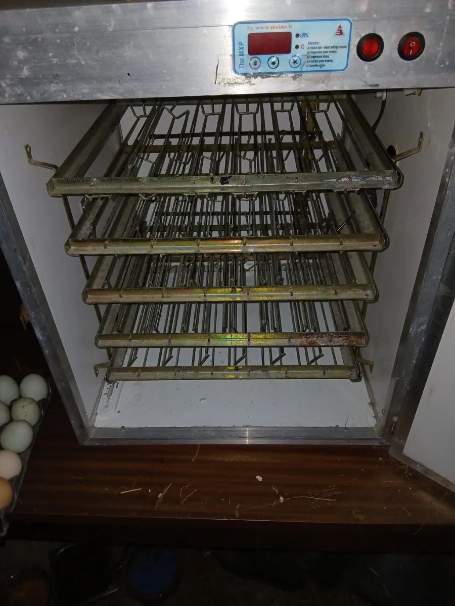 Incubator - Image 3