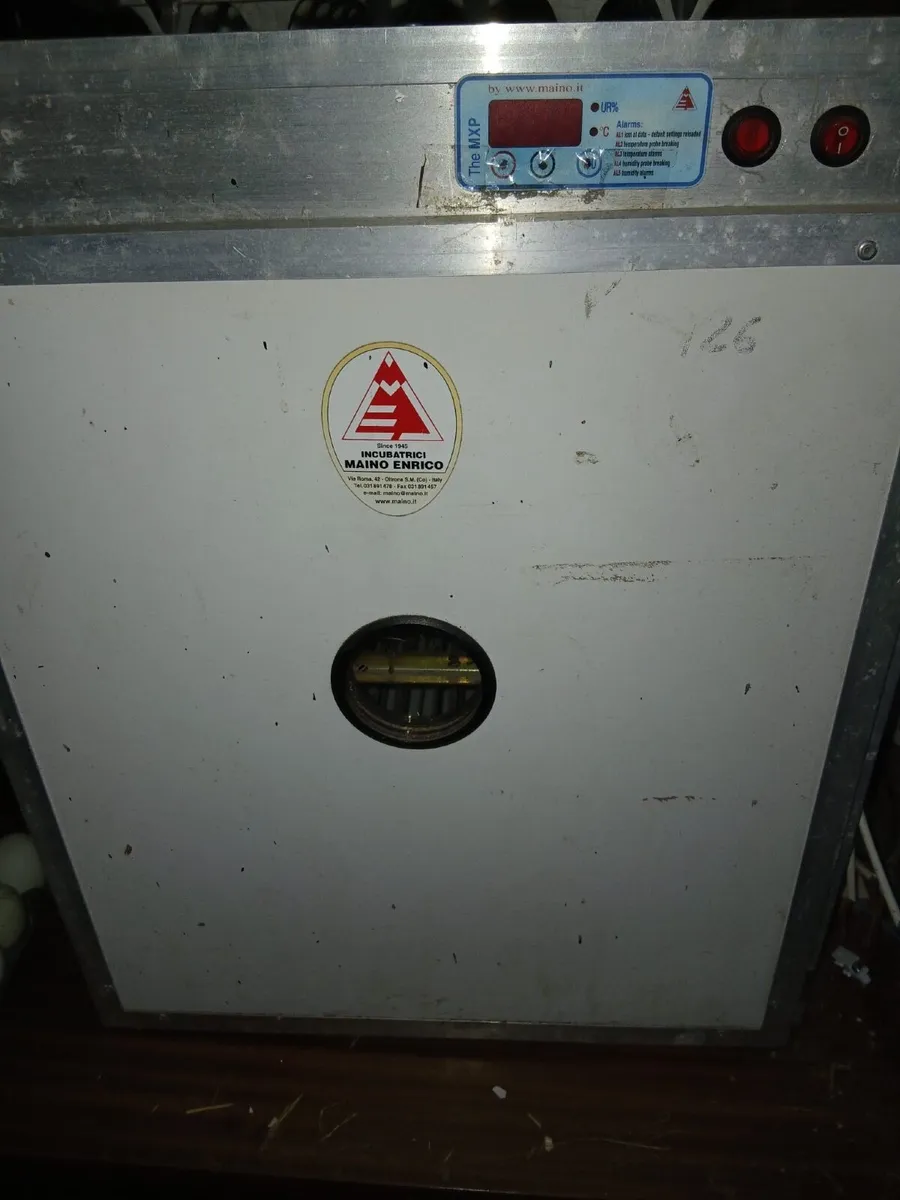 Incubator - Image 4