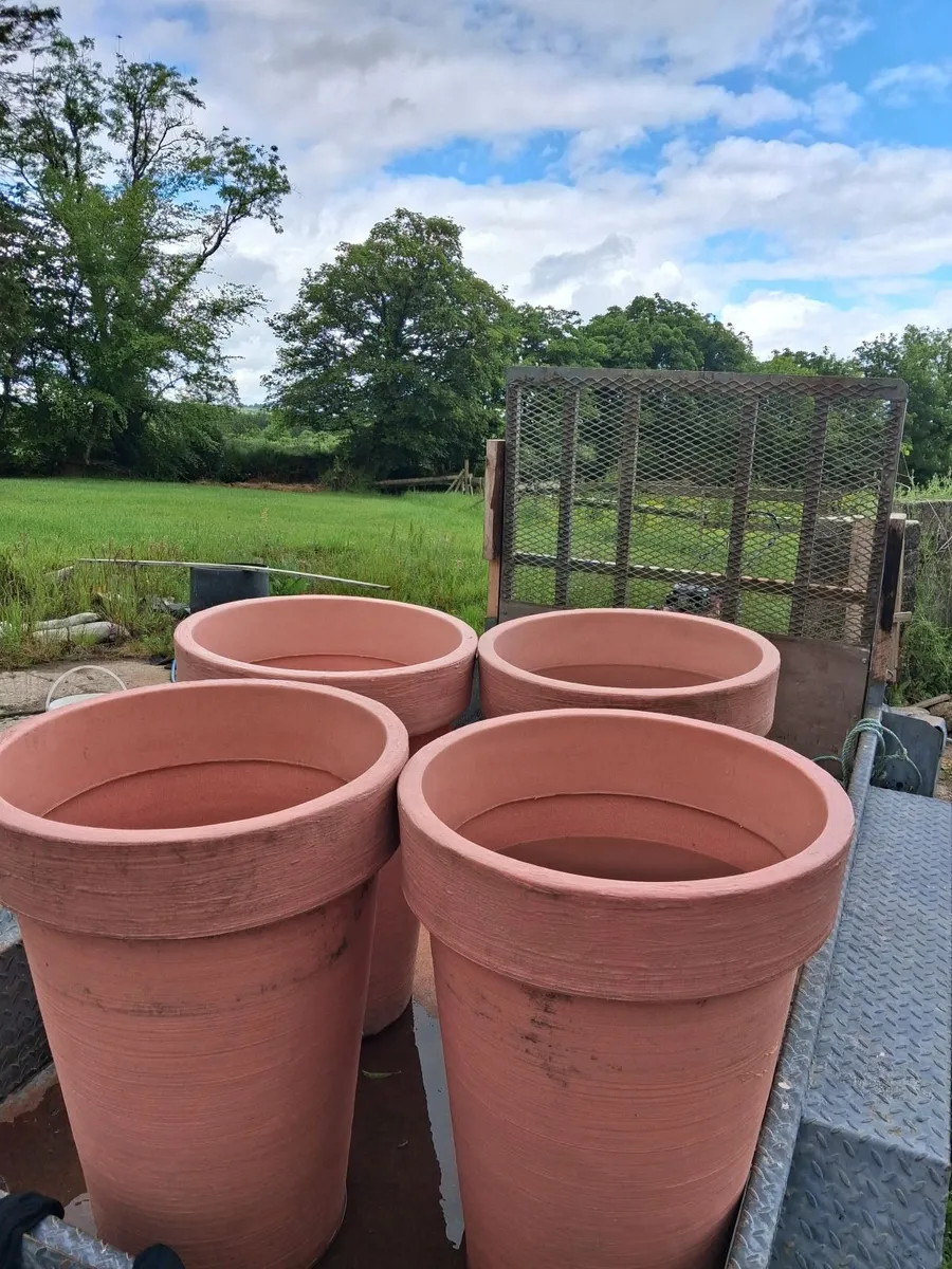 Plant pots - Image 2