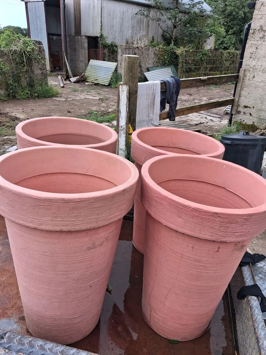 Plant pots - Image 4
