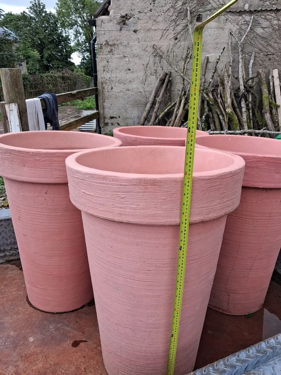 Plant pots - Image 1
