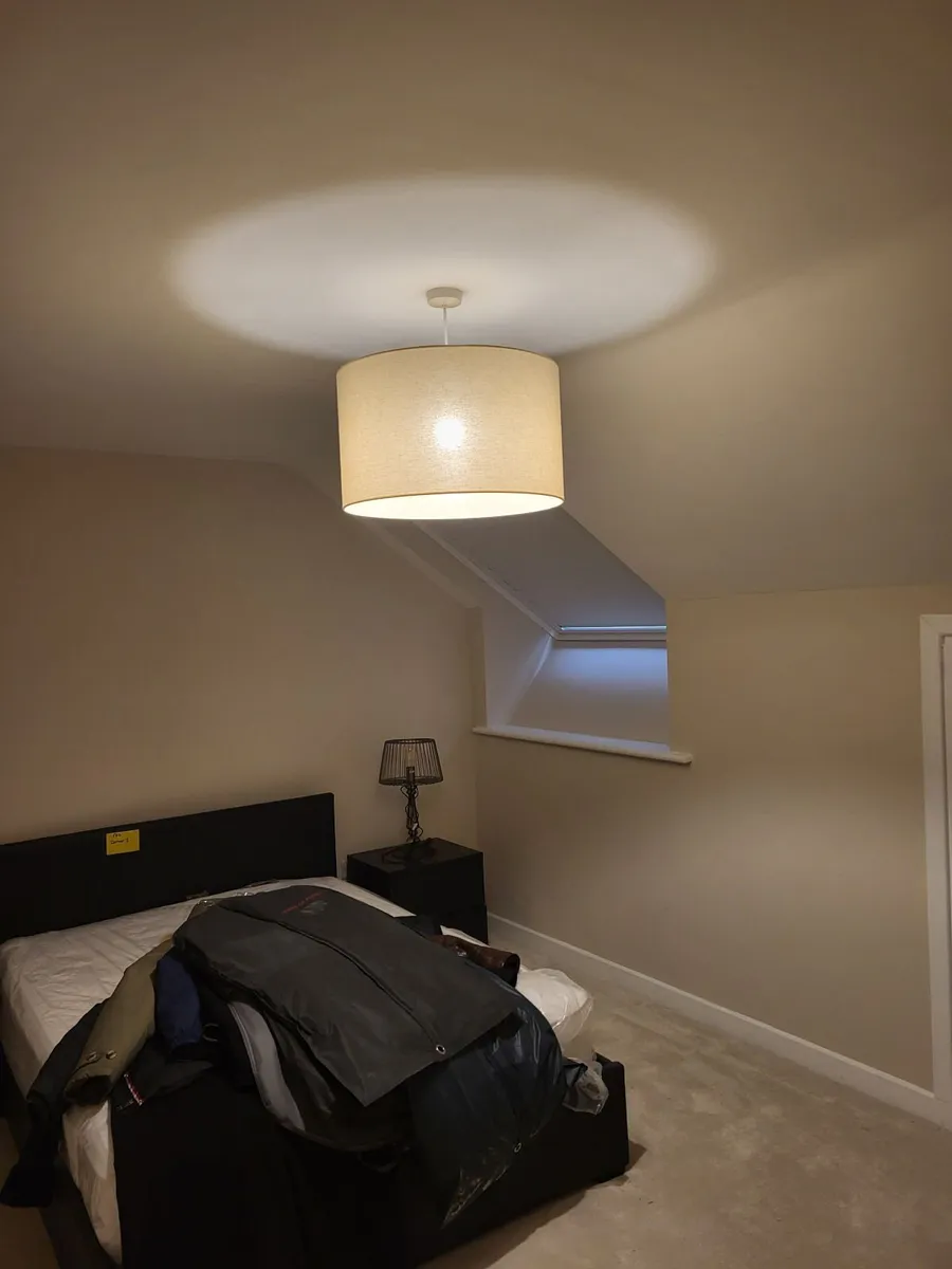 Ceiling Light Shade - Image 1