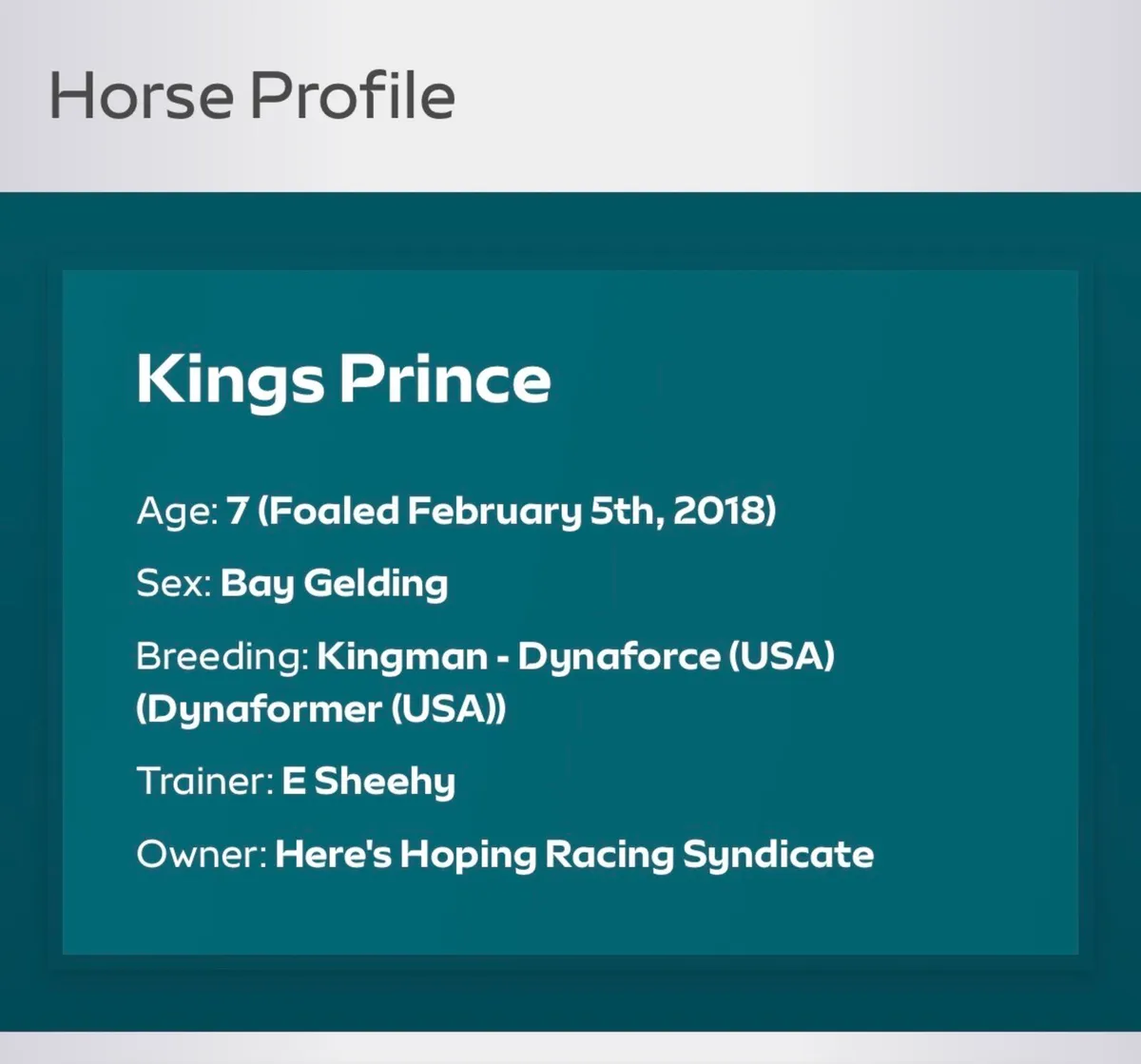 8 year old TB gelding - Image 2