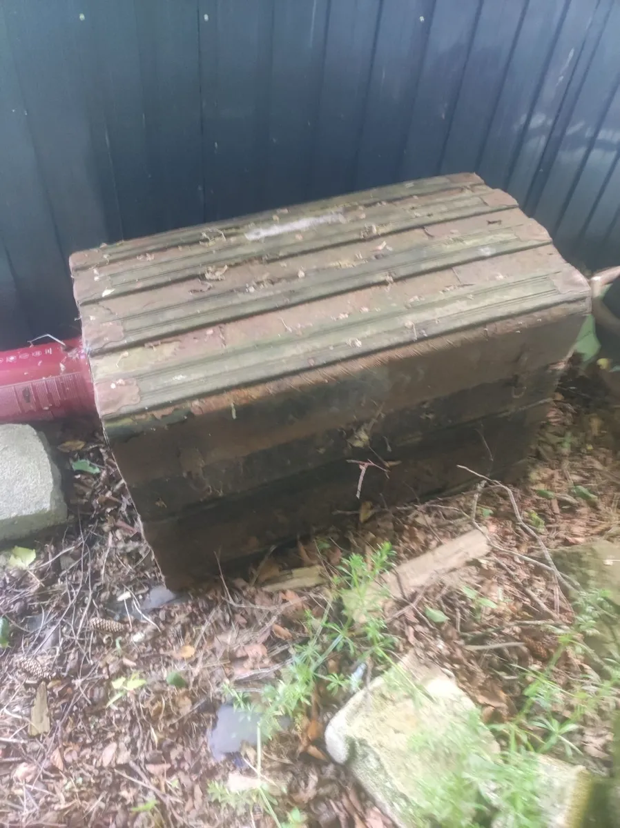 Old Trunk - Image 1