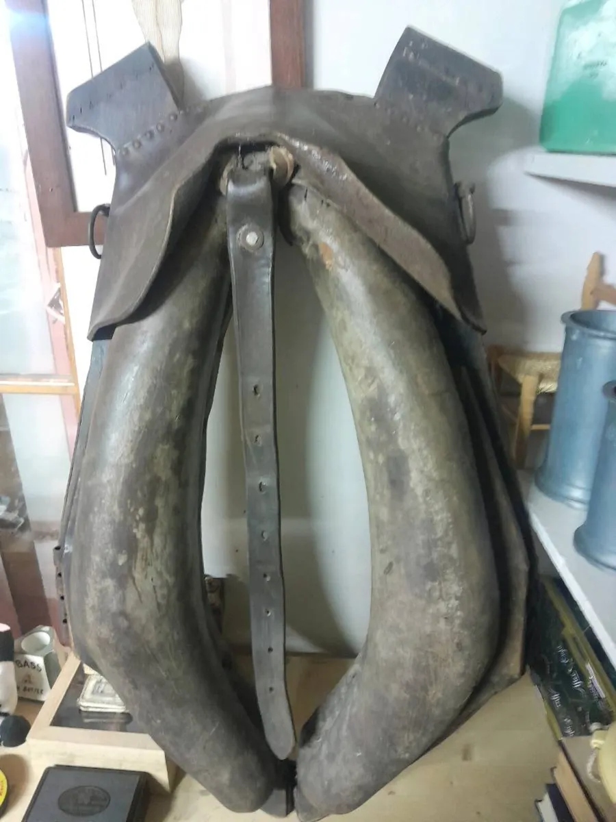 Antique head collar - Image 1