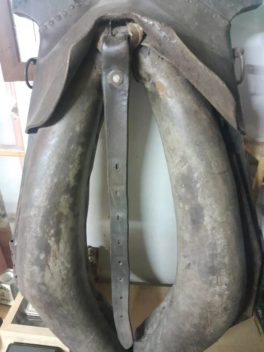 Antique head collar - Image 3