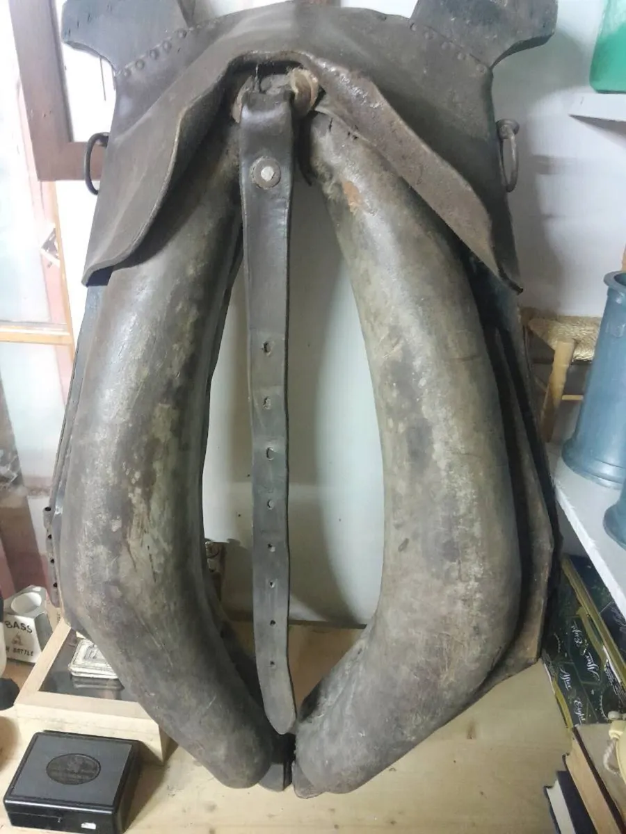 Antique head collar - Image 4