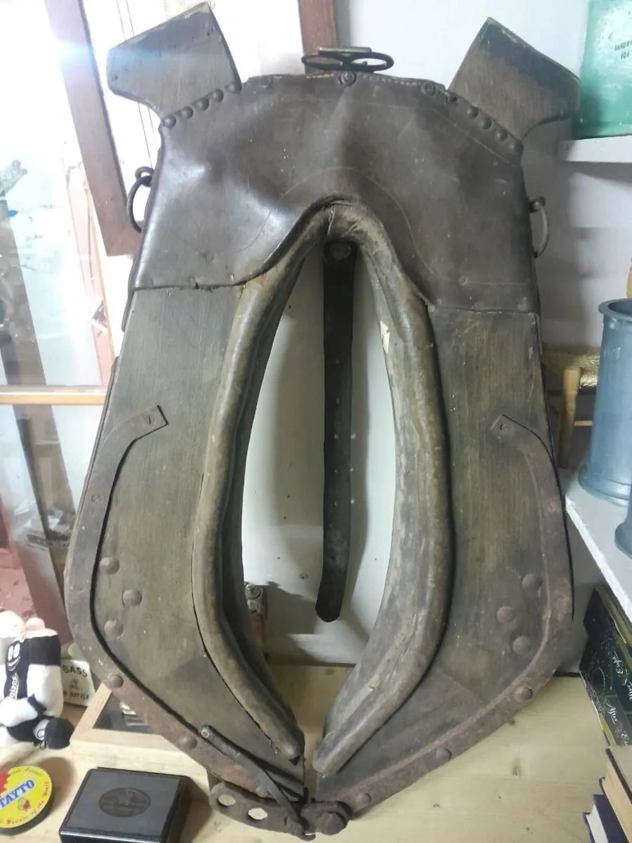 Antique head collar - Image 2