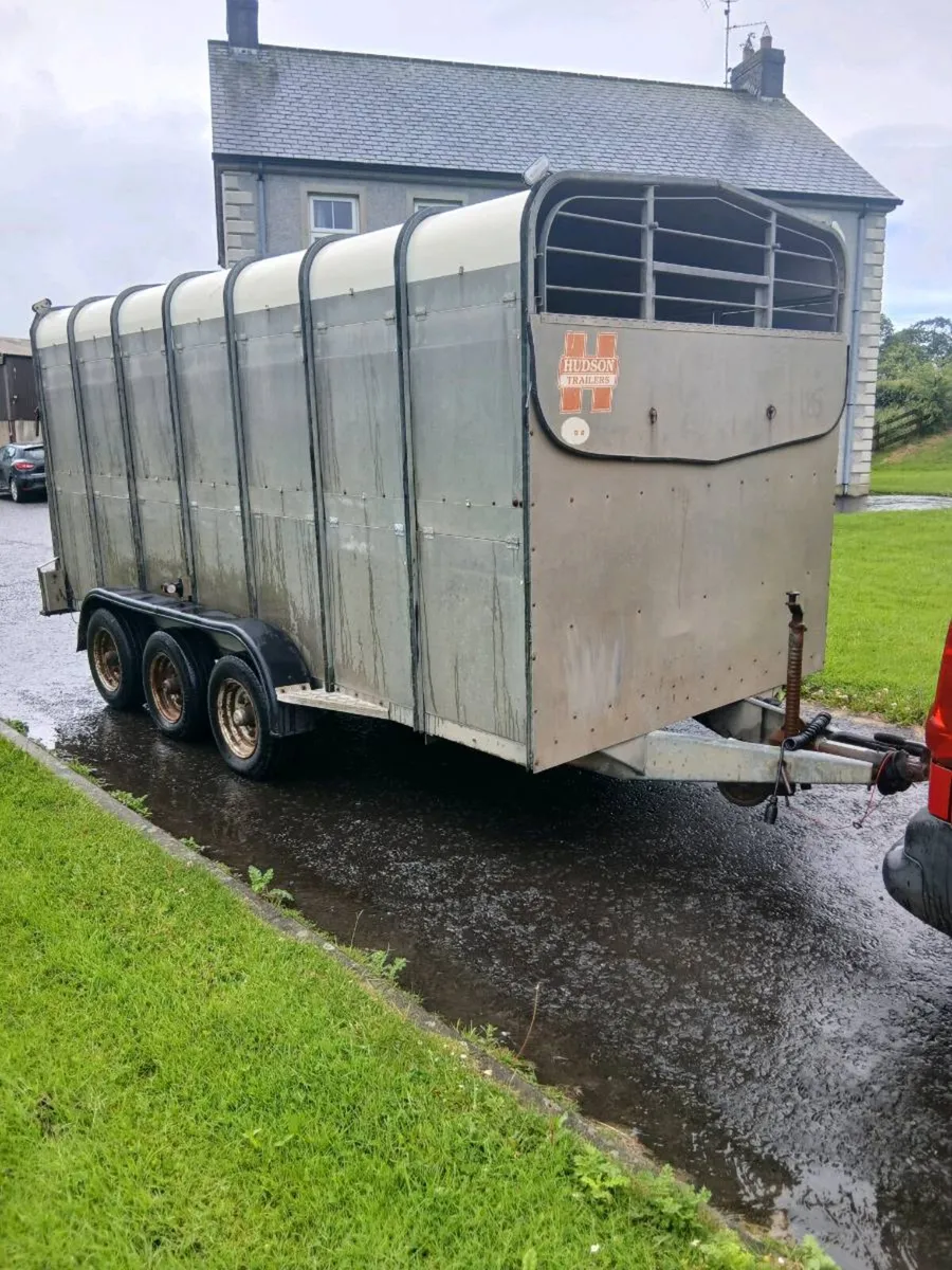 14ft hudson cattle trailer - Image 1