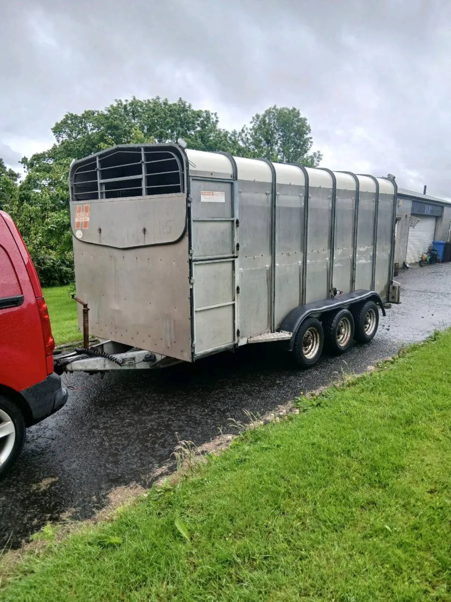 14ft hudson cattle trailer - Image 2