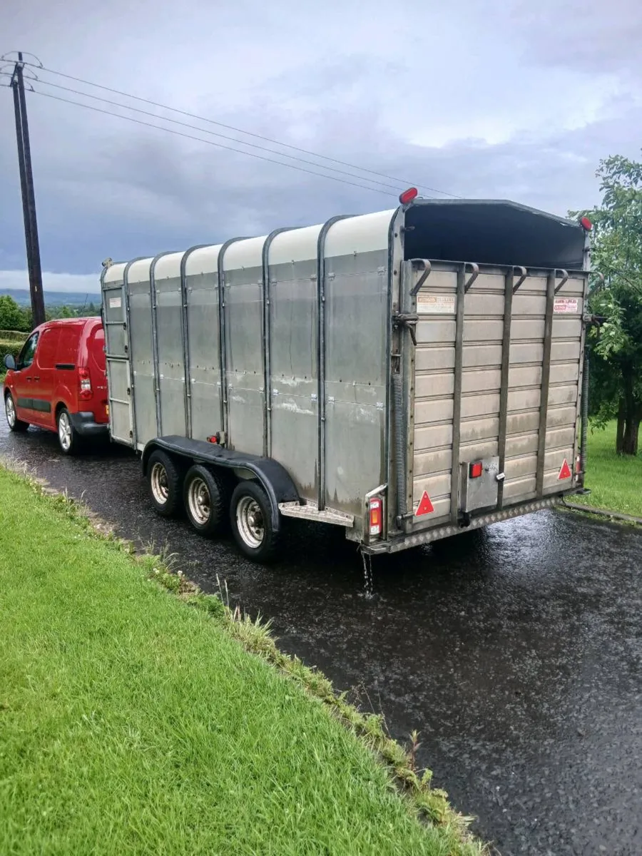 14ft hudson cattle trailer - Image 3