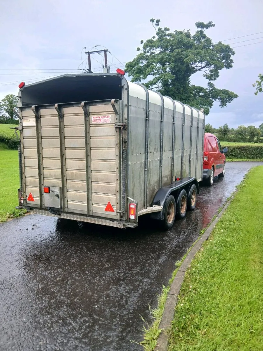 14ft hudson cattle trailer - Image 4