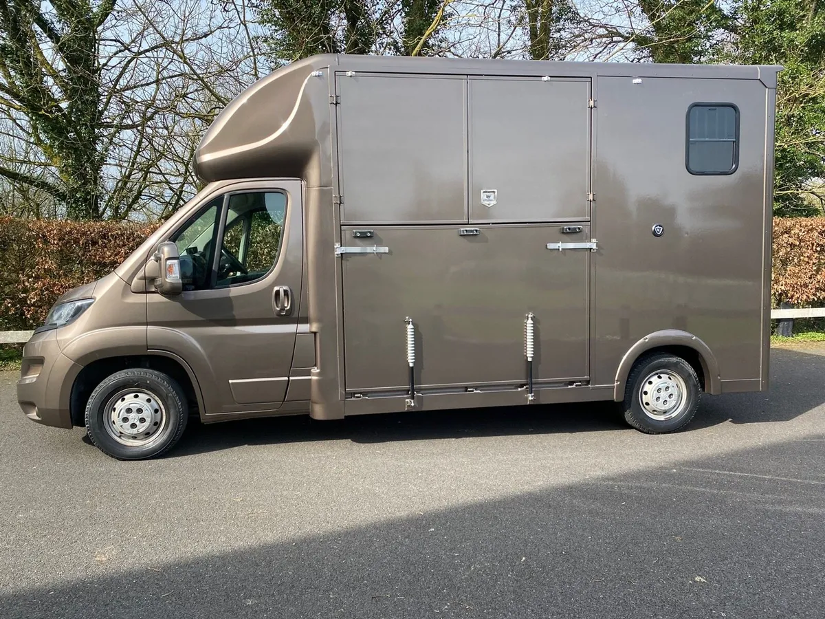 2026 coachbuilt 2 stall Horsebox - Image 2