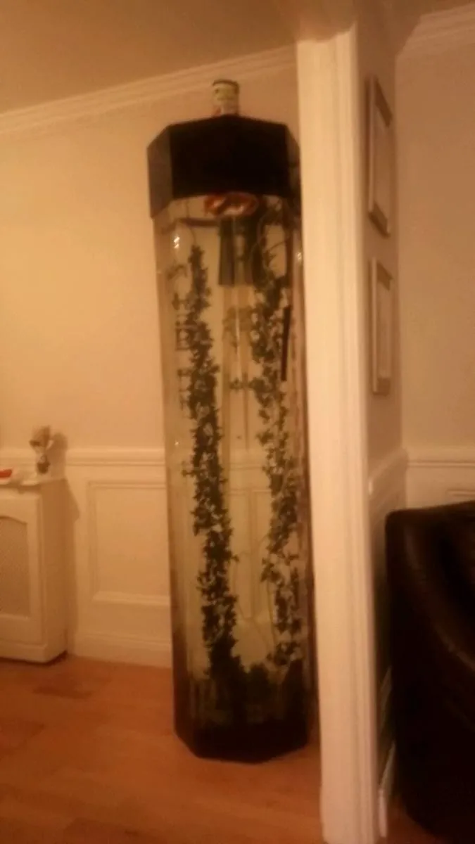 Fish tank - Image 3