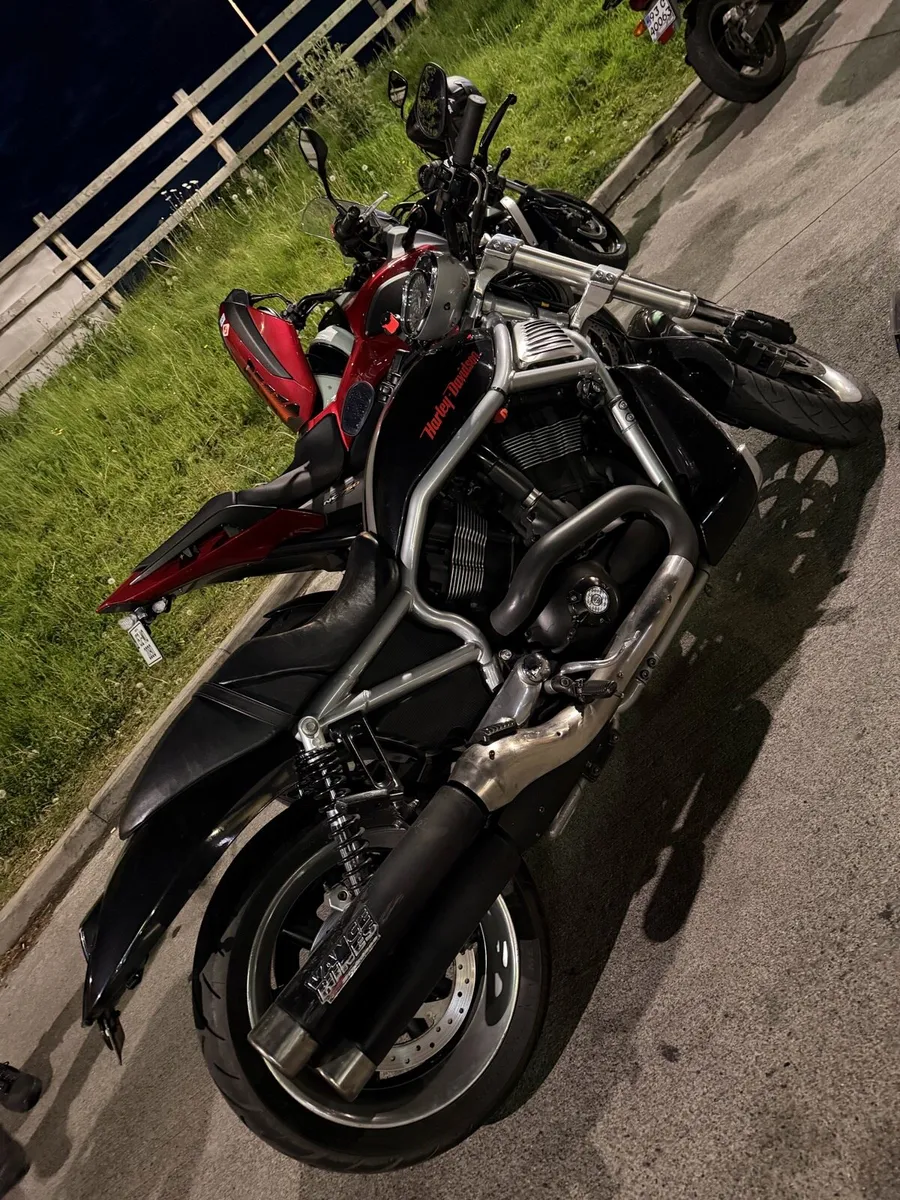 Harley Davidson V-Rod (Street rod) - Image 2