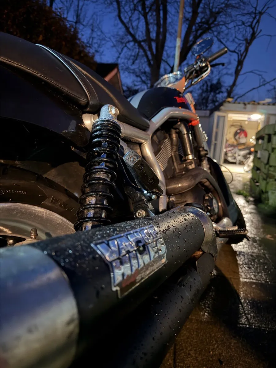 Harley Davidson Street rod *need gone moving* - Image 1