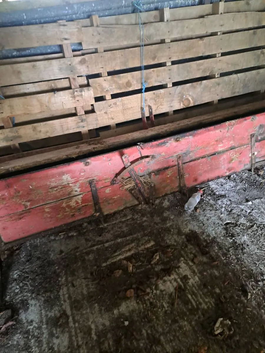 Vintage manure shaker - Image 1