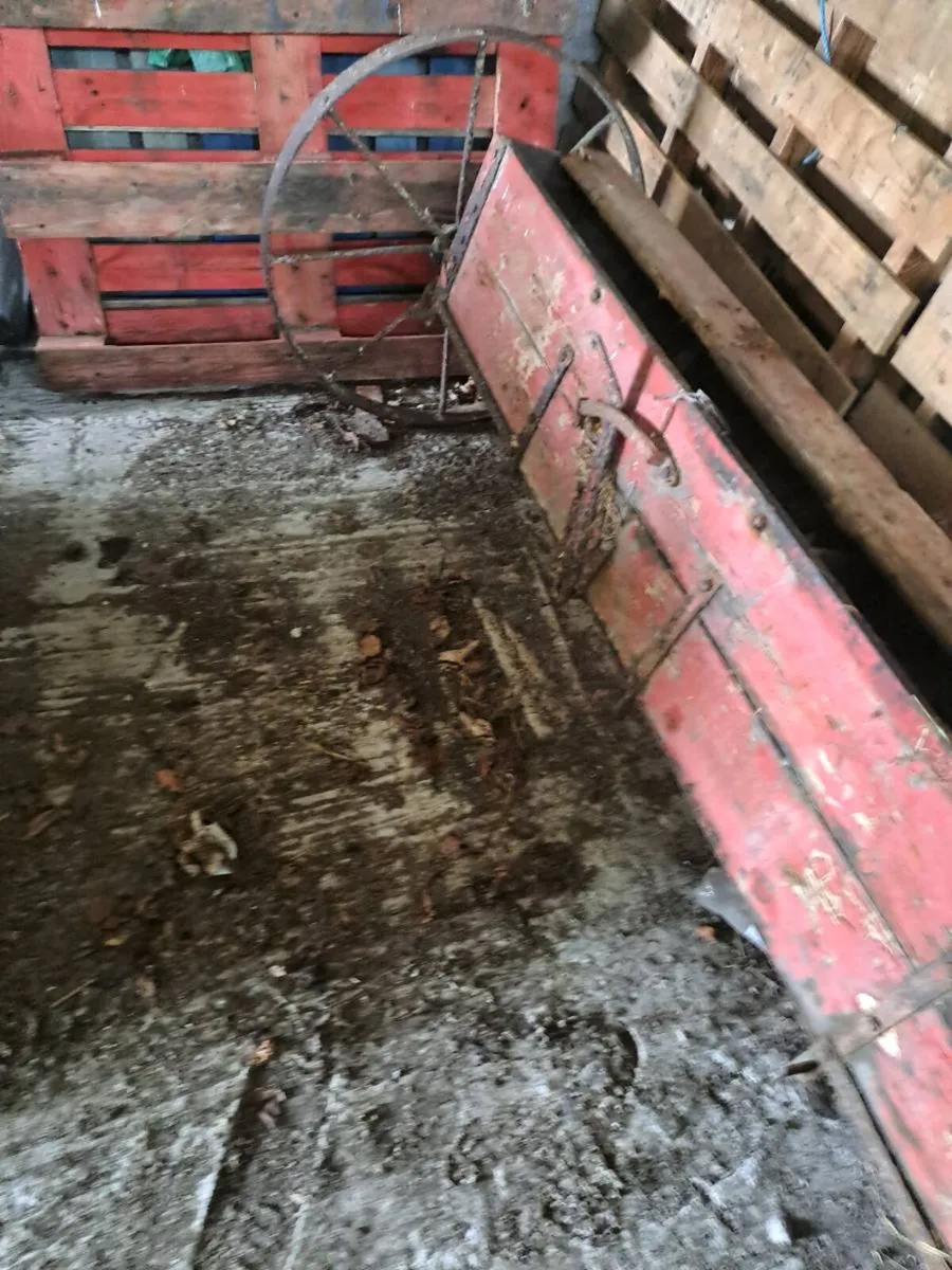 Vintage manure shaker - Image 3