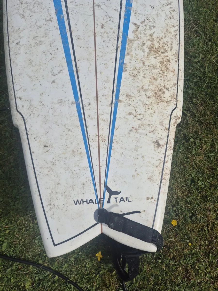 Hydra "Whale Tail" surfboard - Image 4
