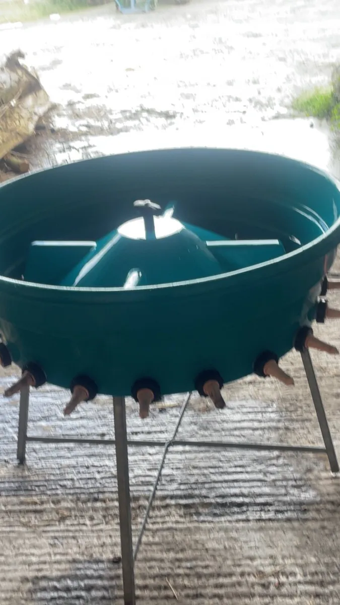 Calf feeder - Image 3