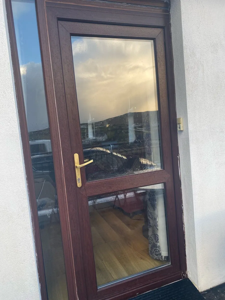 Exterior door pvc