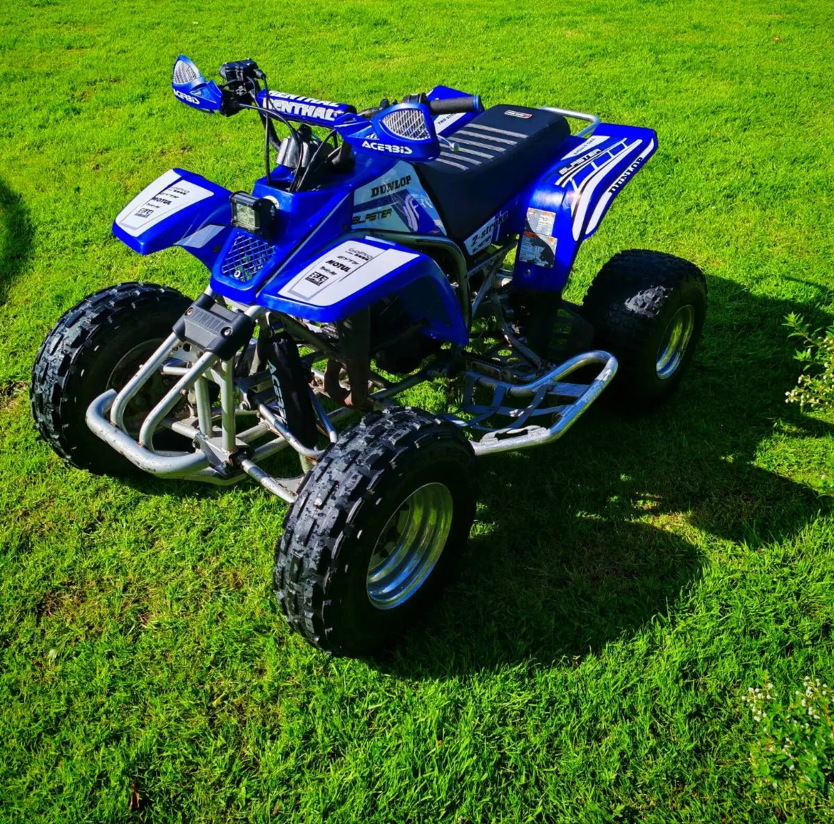 Yamaha Blaster 200 - Image 2