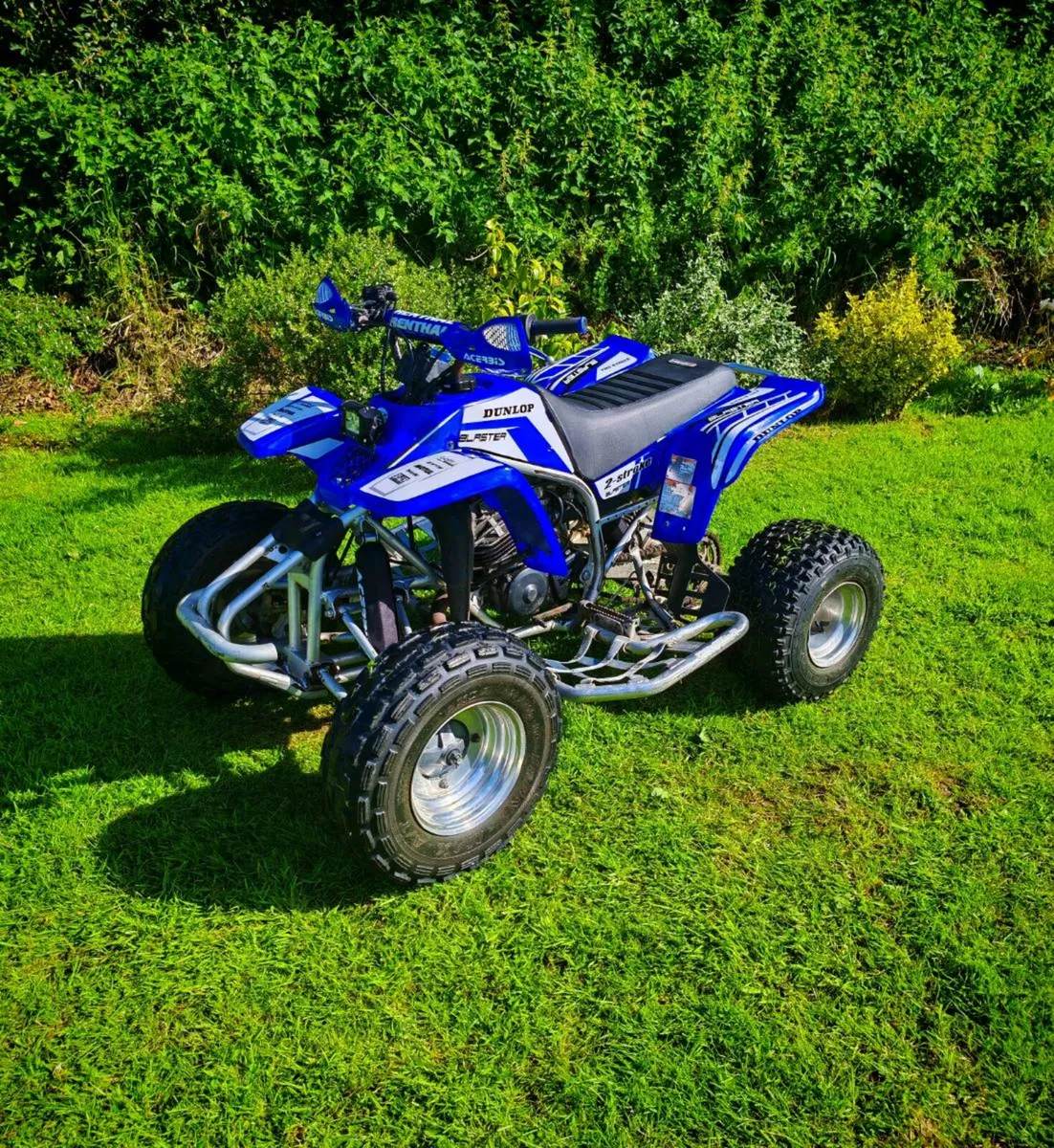 Yamaha Blaster 200 - Image 1