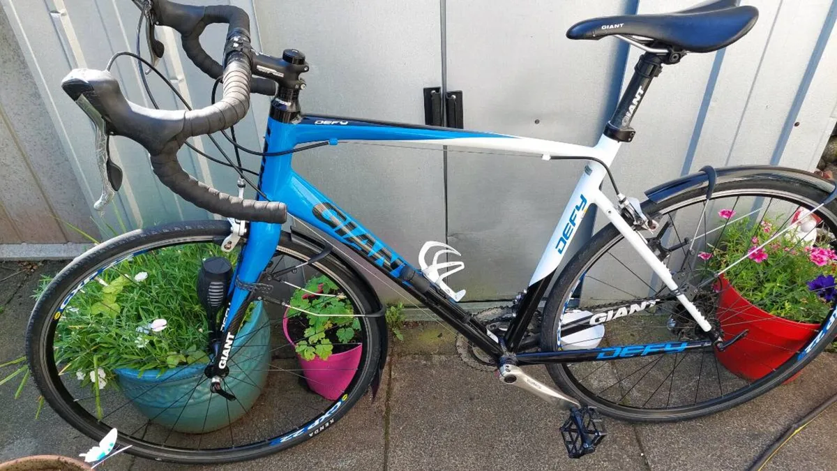 Giant Defy Road Bike Large Frame 56cm - Image 2