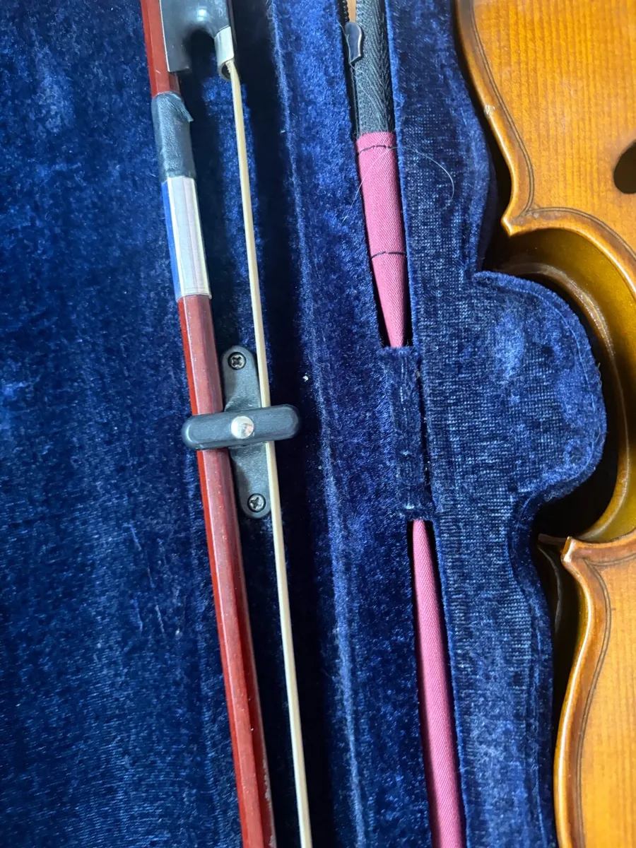 Stentor 2 Student violin Full size - Image 4