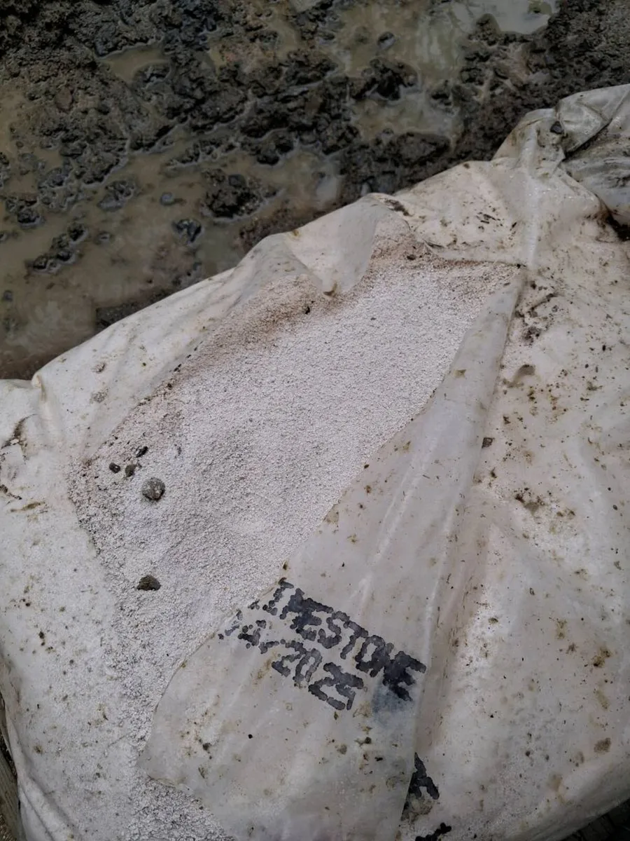 White limestone sand - Image 1
