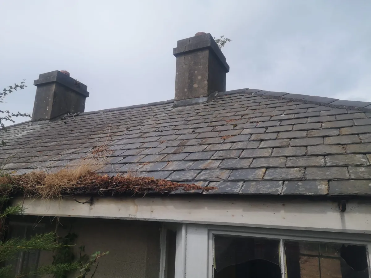 Old roof tiles - Image 2
