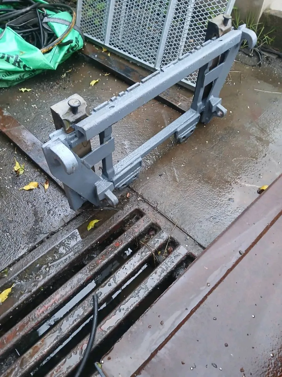 Pallet forks - Image 1