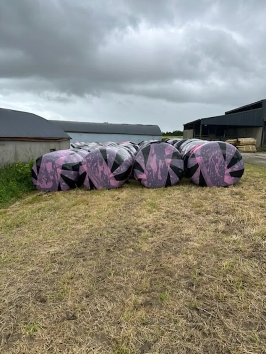 Bales of silage