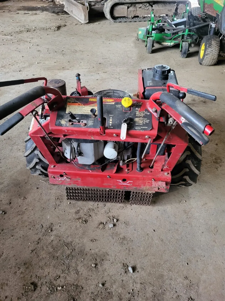 Garden & Landscaping:  Equipment/lawnmower - Image 4