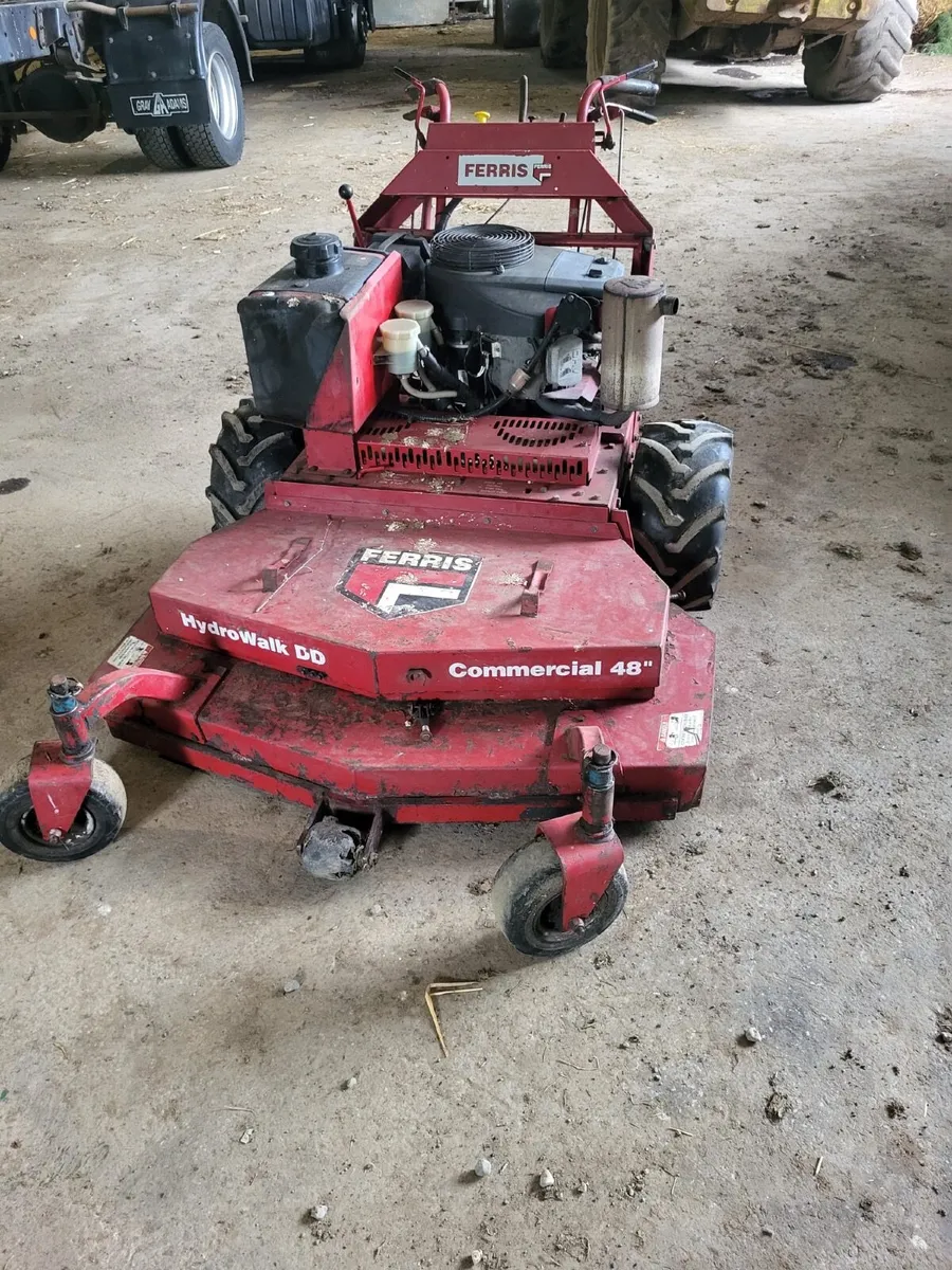 Garden & Landscaping:  Equipment/lawnmower - Image 4