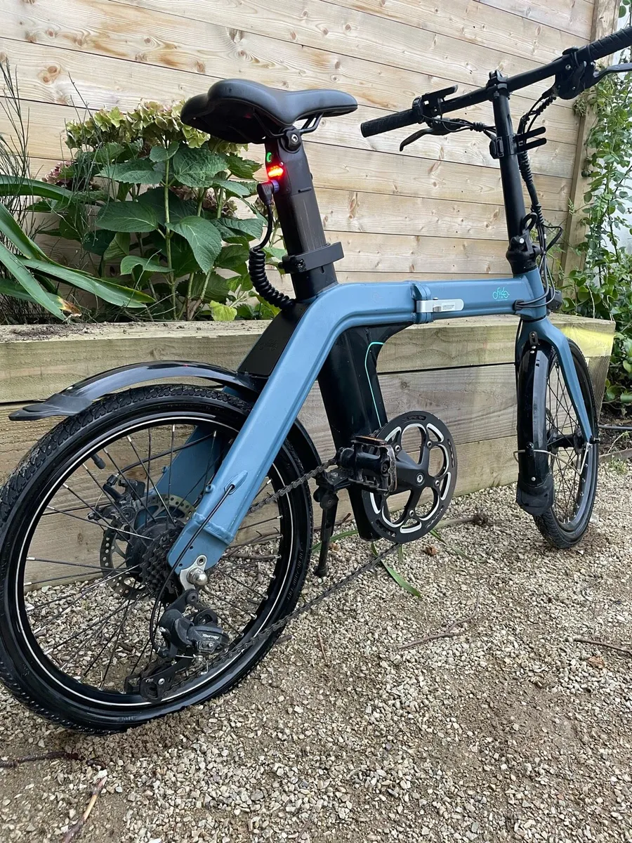 Fiido D11 Electric Bike - Image 1