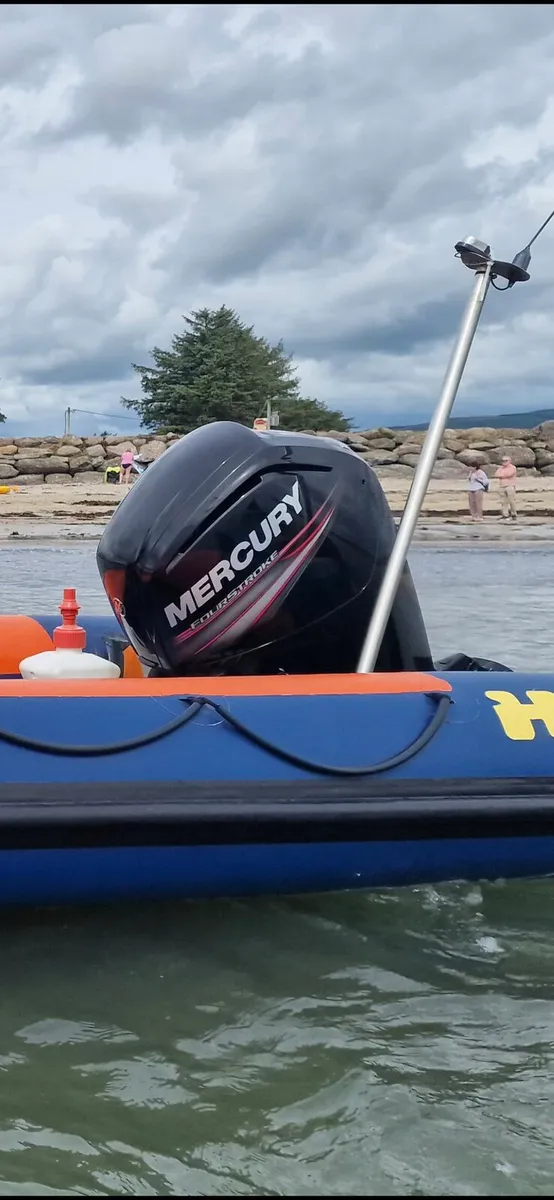 2021 Mercury 100HP Longshaft - Image 3