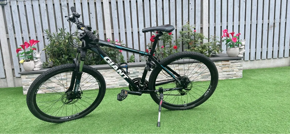 Giant Bike - Image 1
