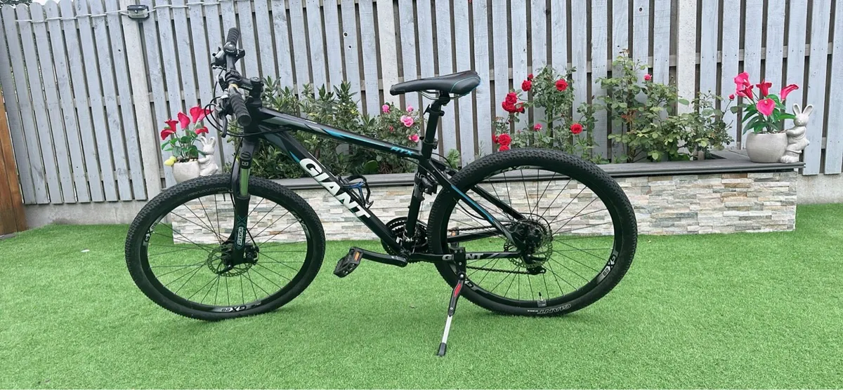 Giant Bike - Image 2
