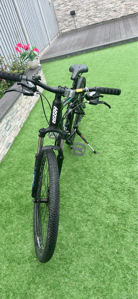 Giant Bike - Image 4