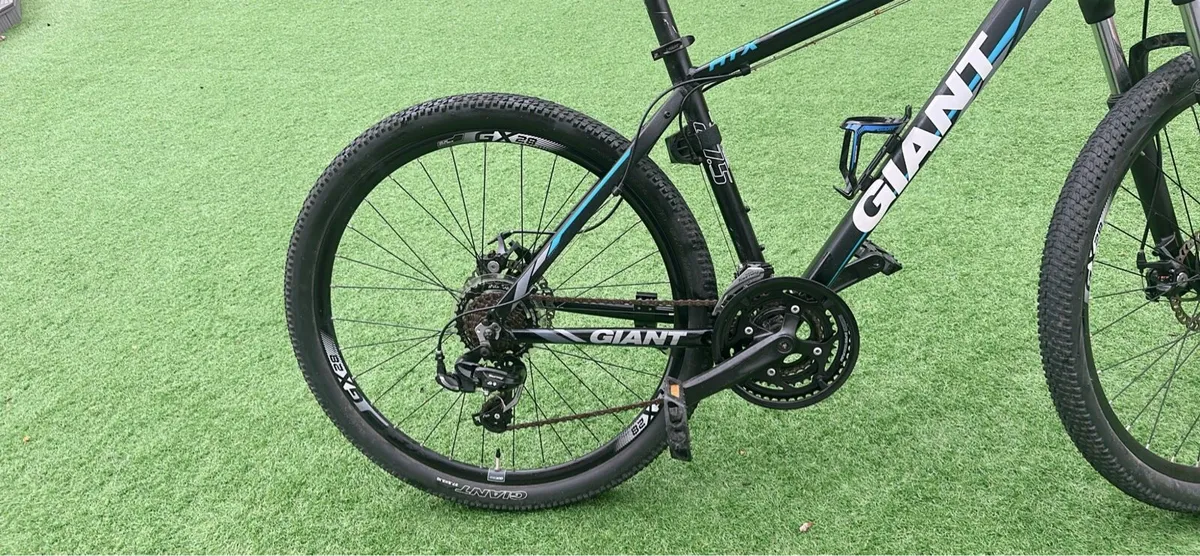 Giant Bike - Image 3