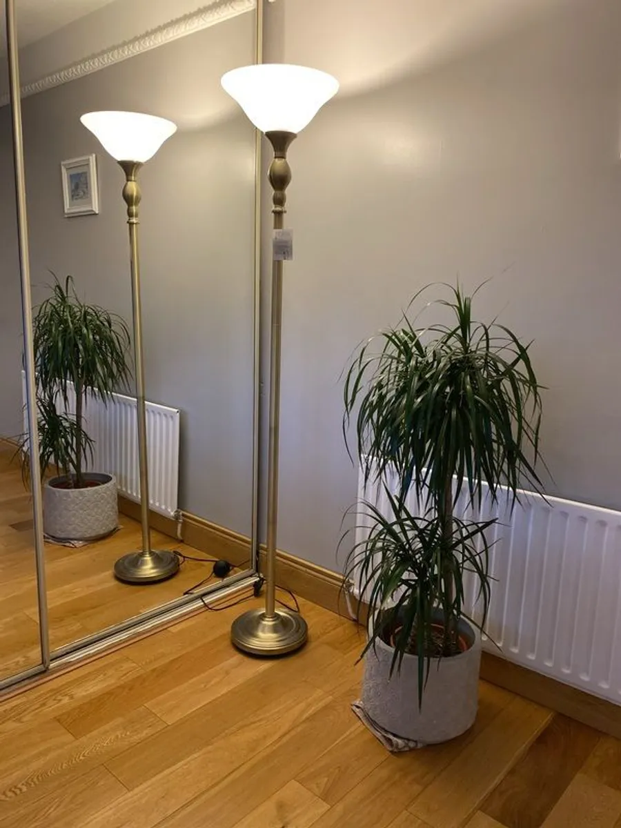 Beautiful floor lamp - Image 1
