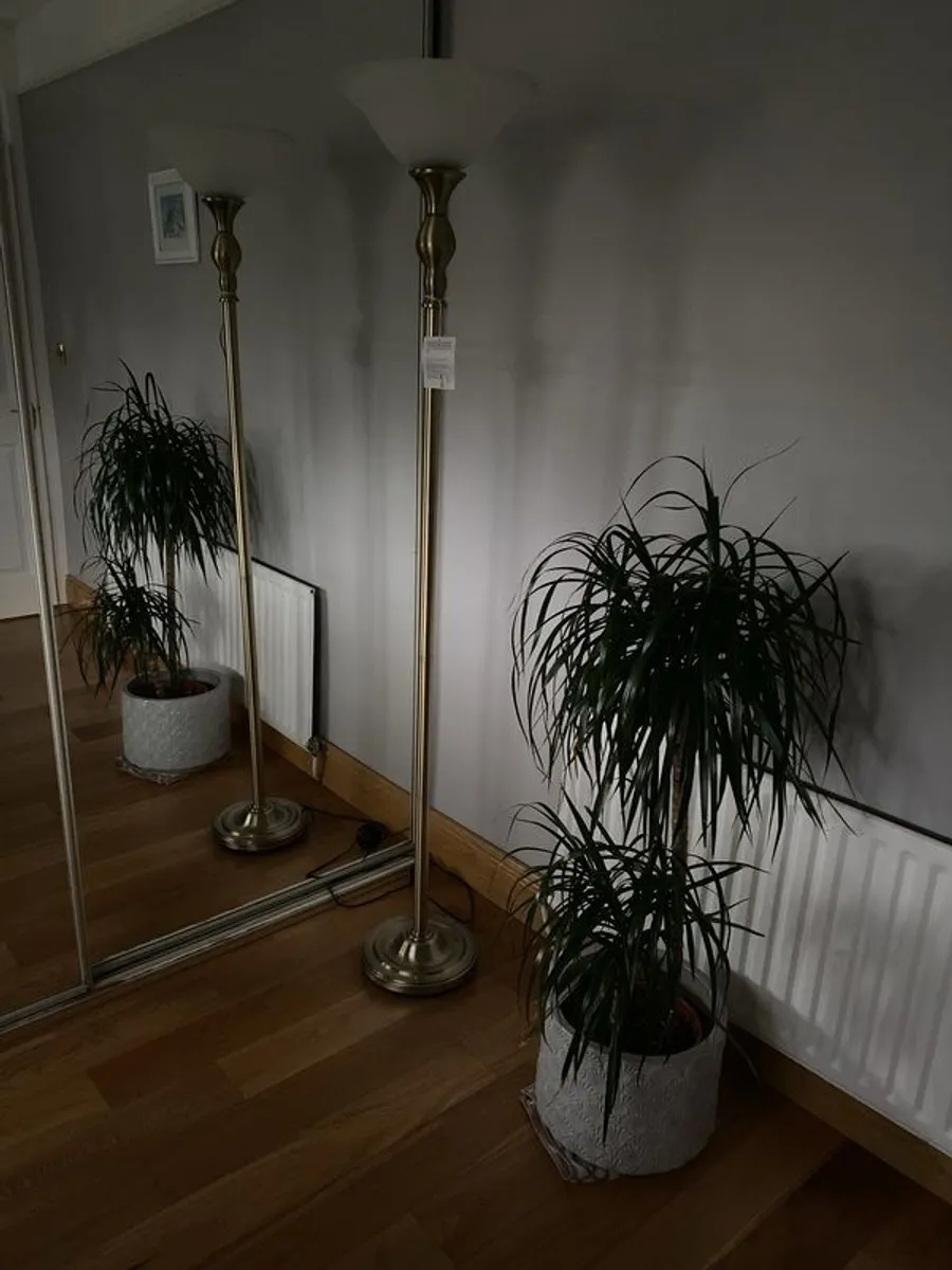 Beautiful floor lamp - Image 3