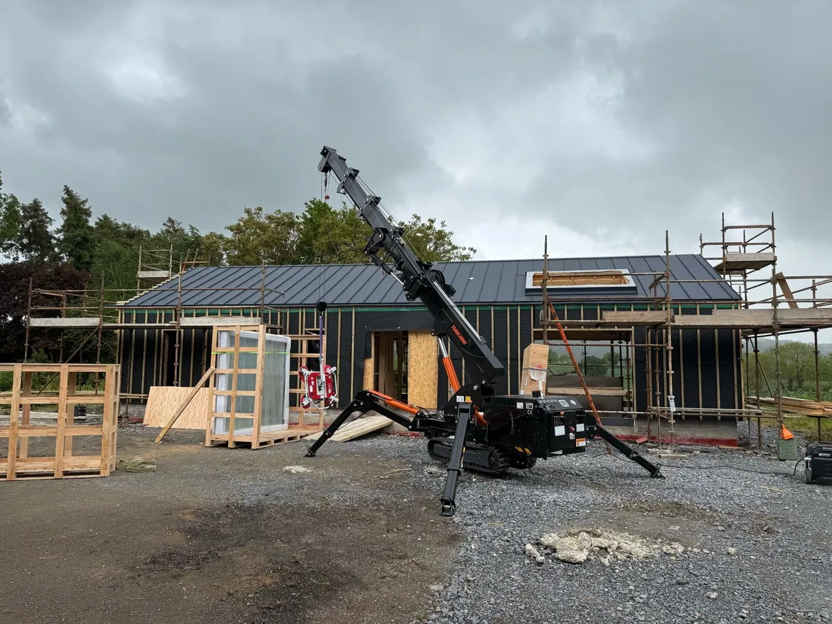 Spider Crane - Image 4