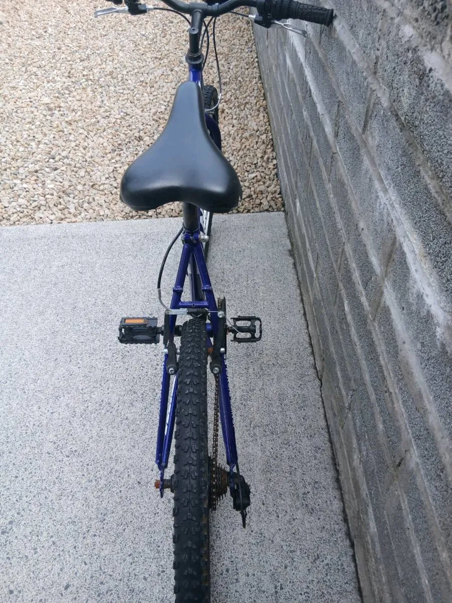 ADULTS BIKE - Image 4