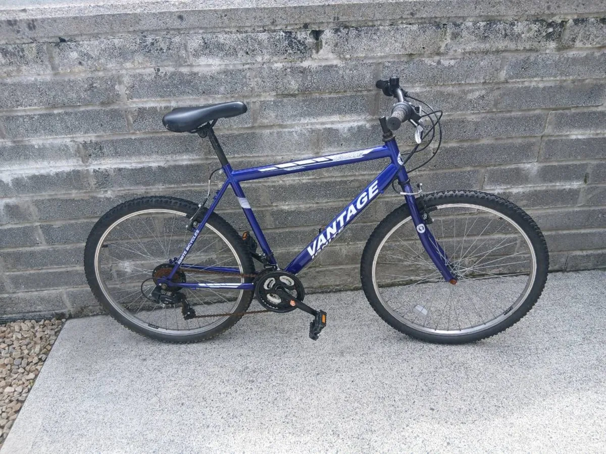 ADULTS BIKE - Image 1
