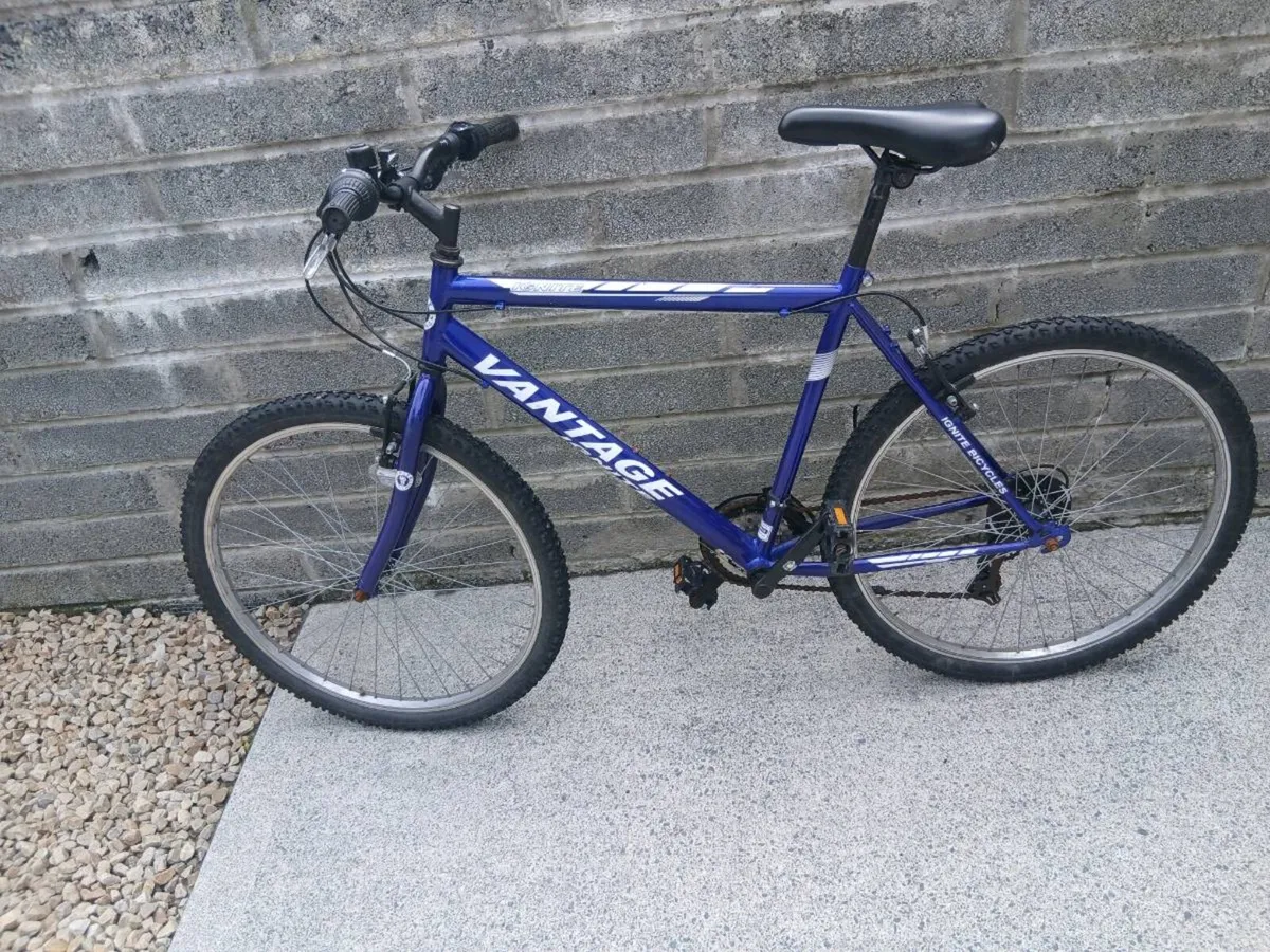 ADULTS BIKE - Image 2
