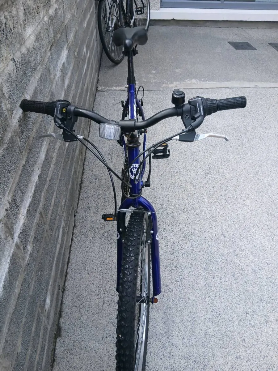 ADULTS BIKE - Image 3