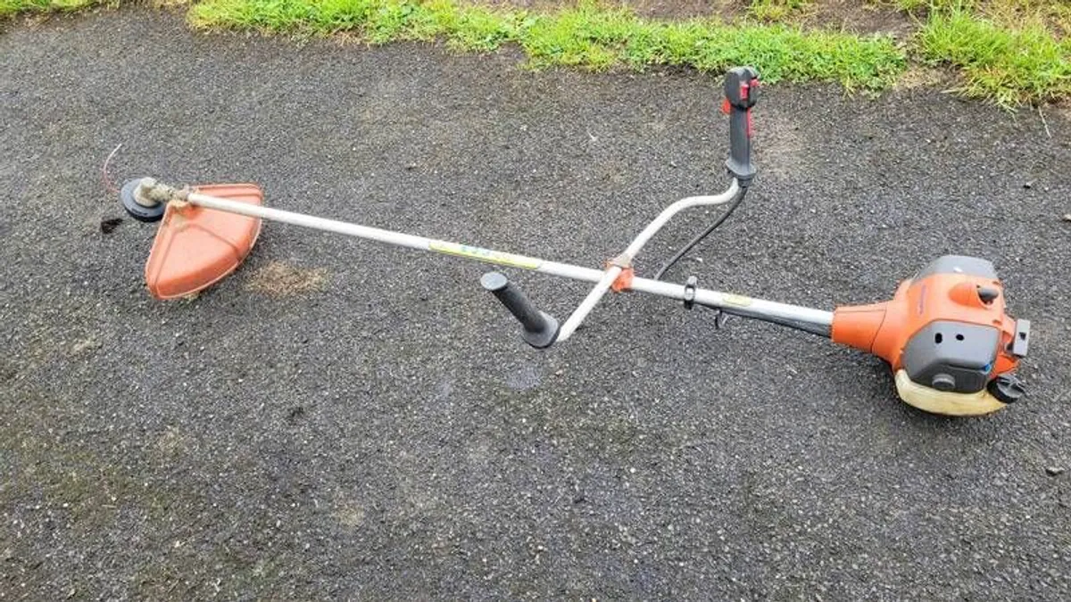 Shed clearance - Image 1